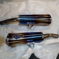 Ninja1000スリップオン　ワイバンの画像