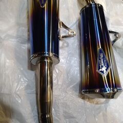 Ninja1000スリップオン　ワイバンの画像