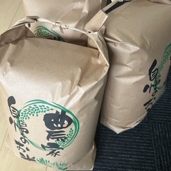 令和6年度産　ひとめぼれ　10キロ　子育て世帯 ゆうせん優先の画像