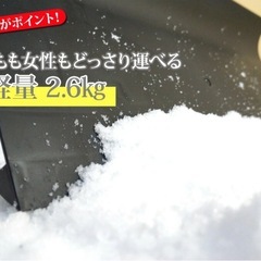 スノーダンプ　※お譲り先決まりましたの画像