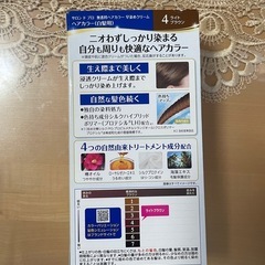 サロンドプロ 白髪染め 無香料ヘアカラー 早染めクリーム 4らいとぶらうん4ライトブラウンの画像