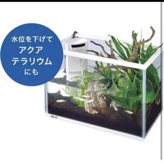 GEX AQUARIUM サイレントフィット アルファ 300 サカナ用　水槽の画像