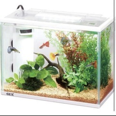 GEX AQUARIUM サイレントフィット アルファ 300 サカナ用　水槽の画像