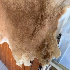 毛皮の画像