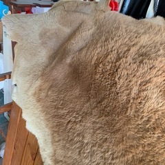 毛皮の画像