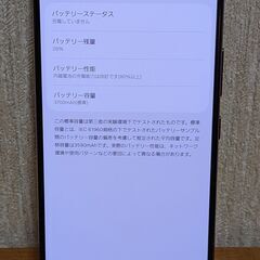 Galaxy S22 256GB (新品付属品/ケース/交換バッテリー付）の画像