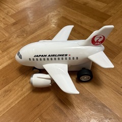 JAL 787 サウンドジェット
の画像