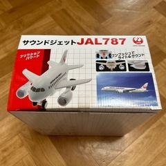 JAL 787 サウンドジェット
の画像