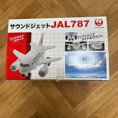 JAL 787 サウンドジェット
の画像