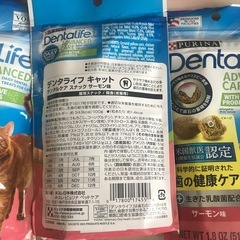 ネコ　ねこ　猫　餌　エサ　えさ　デンタライフ　サーモン　　トイレシート　シートの画像