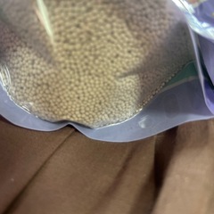 セーフクリーンの画像