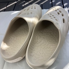 NIKEジョーダンローム　２８センチの画像