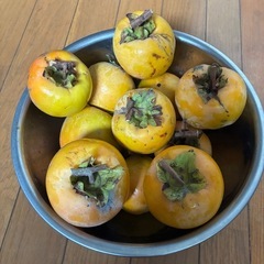 🍊干し柿用の渋柿 約3kg（16〜19個入り）　