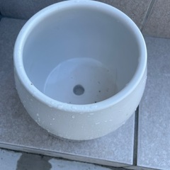 立派な可愛い植木鉢の画像