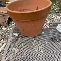 植木鉢　各種色々10月25
日までの画像