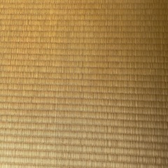 畳ベッドの画像