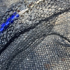 タモ網 390の画像