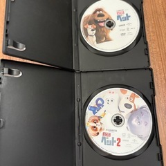 ペット　DVDの画像