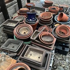 植木鉢 どれでも1つ50円の画像
