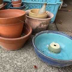 植木鉢 どれでも1つ50円の画像