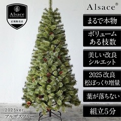 クリスマスツリー、オーナメント の画像