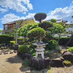 和風庭の庭木や庭石、灯篭を引き取っていただけませんか