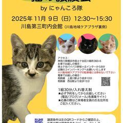 猫の譲渡会　by にゃんころ隊 11/9