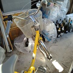 大人用の後ろ二輪三輪車の画像