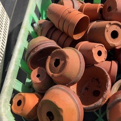 【中古】植木鉢　小の画像