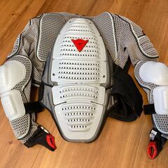 ダイネーゼ スノーボード プロテクターの画像