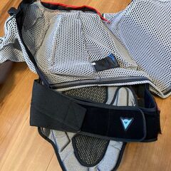 ダイネーゼ スノーボード プロテクターの画像