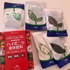 受け渡し者決定しました。水耕栽培キットの画像