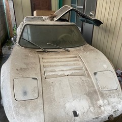 ブラッドレイGT2 1976？の画像