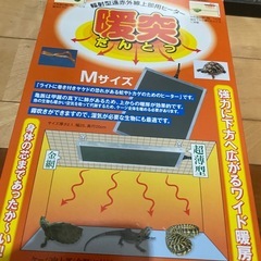 週末処分！！水槽セットの画像