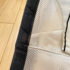 バウンザー【無料でお譲りします】の画像