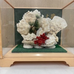 サンゴ 珊瑚の置物 インテリアの画像