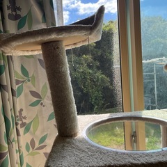 キャットタワーの画像