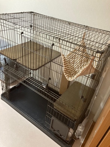 猫ゲージ大型