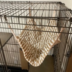 猫ゲージ大型の画像