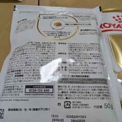 成犬用チワワ（ドライフード）の画像