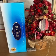（決定）飾りツリーの画像