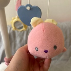 トイローヤル　メリーの画像