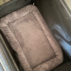【未使用に近い】　ペットキャリー　通院　災害対策 の画像