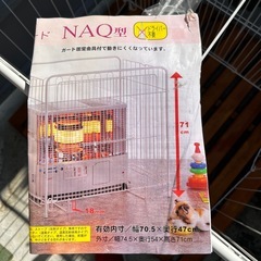 現狀品の画像