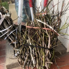 乾燥済み 薪の画像