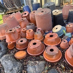 植木鉢の画像