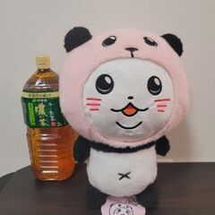 パンダinぱんだ　BIGぬいぐるみの画像