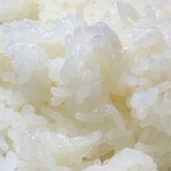 【R7年度産】新米 にこまる　白米５キロ　堺市産の画像