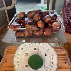 《完売 》生栗 1キロ （全部で5 キロ）の画像