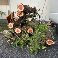 薪に使ってくださいの画像